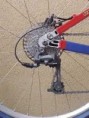 /album/tomac/a12tomac-jpg-jpg/